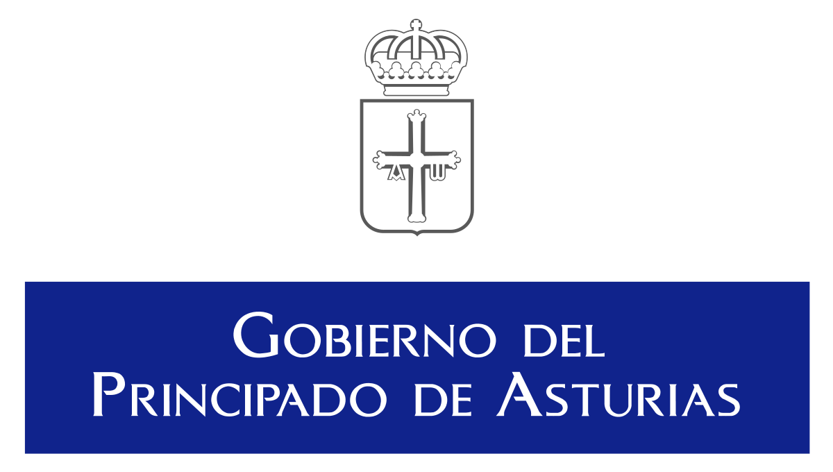 Ayuntamiento de Asturias